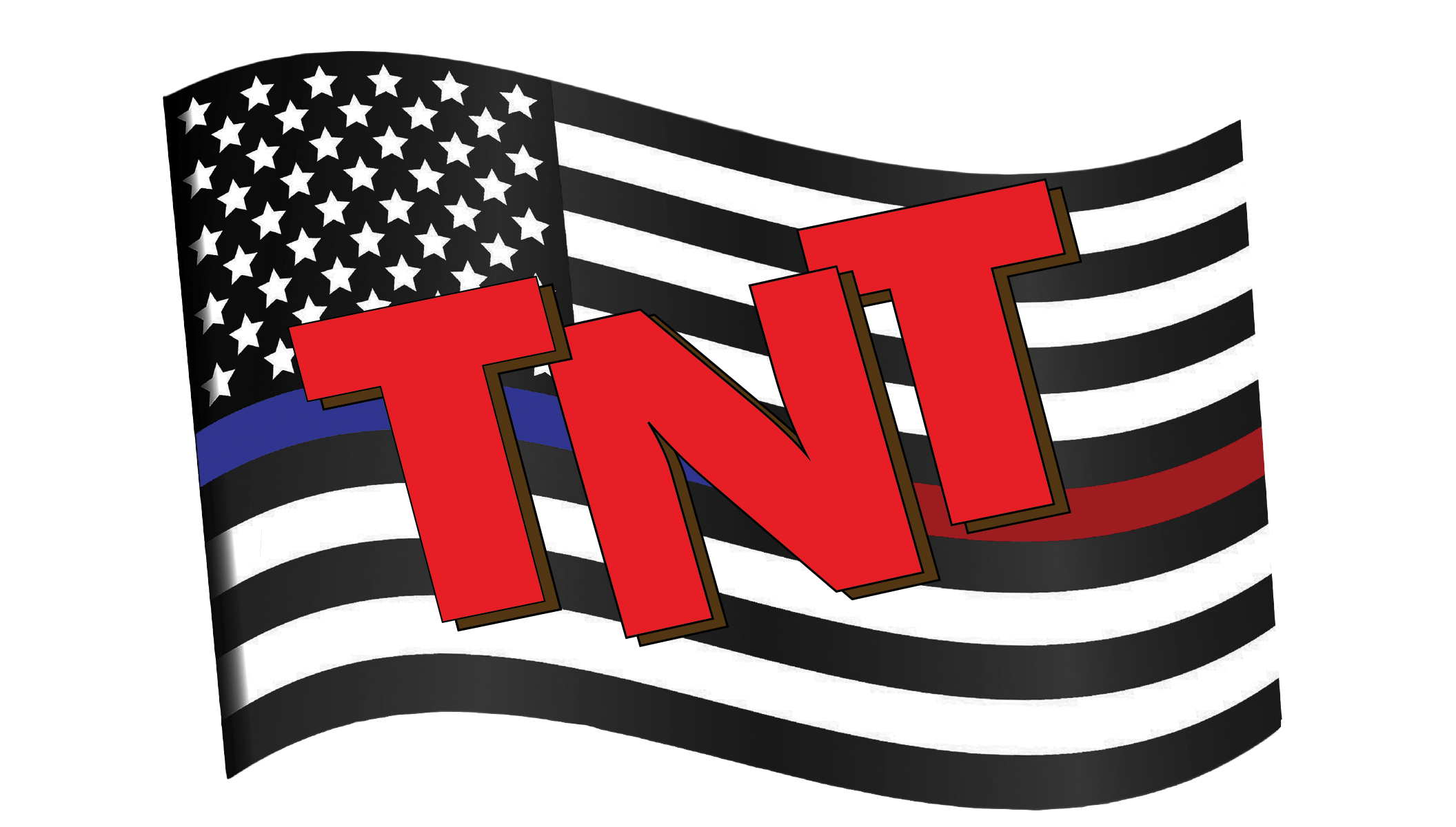 TNT Inspection Pros LLC
